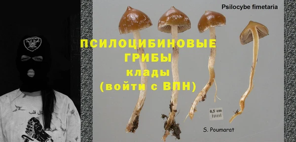 стаф Покров