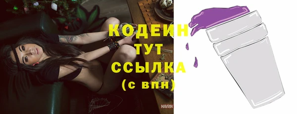 спиды Пересвет