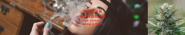 спиды Пересвет