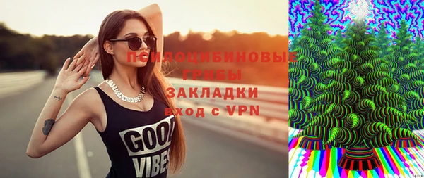 спиды Пестово