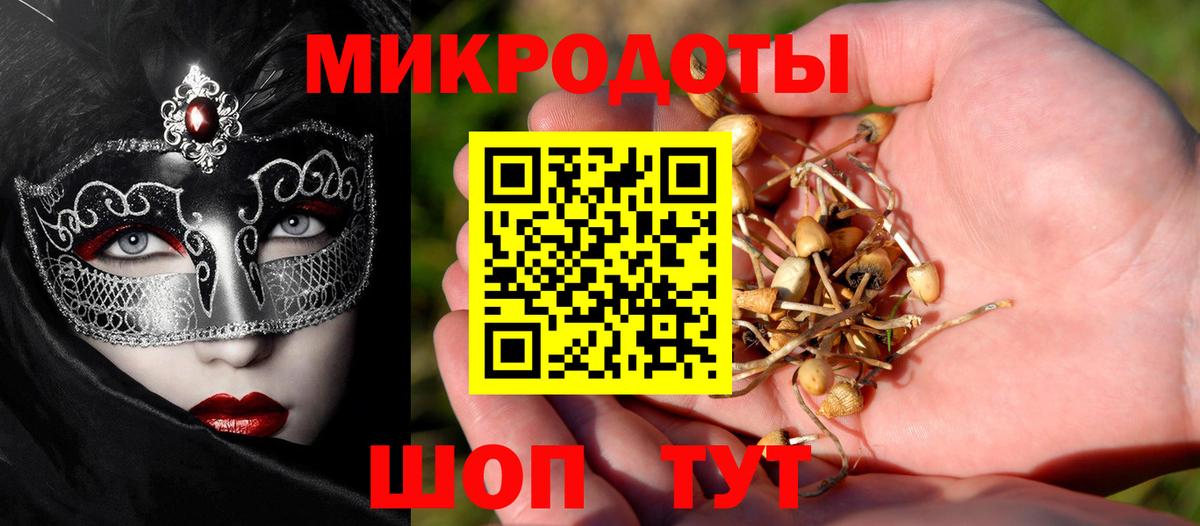 Галлюциногенные грибы Psilocybe  Галлюциногенные грибы Psilocybe  Рославль  Вход с VPN 