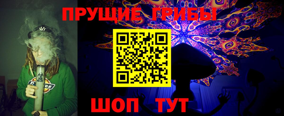 Псилоцибиновые грибы Psilocybine cubensis Рославль